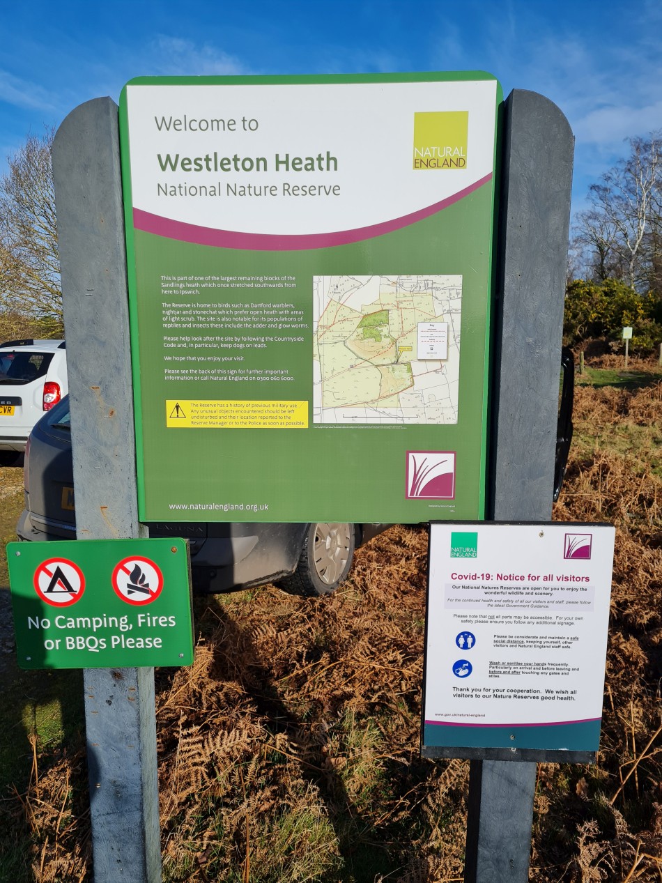 2022-02-16 02 Westleton Heath.jpg
