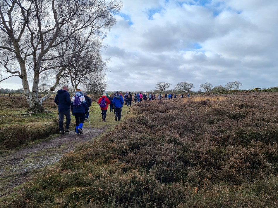 2022-02-16 06 Westleton Heath.jpg
