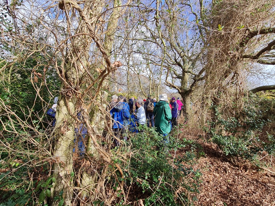 2022-02-16 07 Westleton Heath.jpg