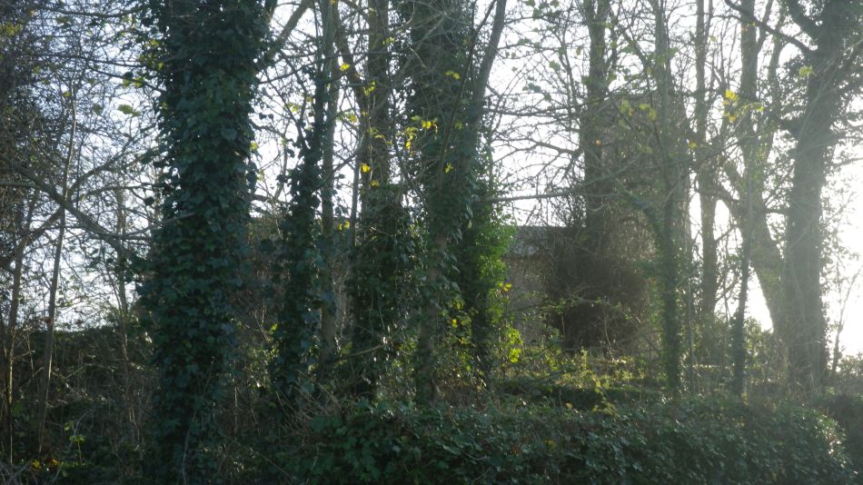 2019-12-11 14 Mettingham.jpg