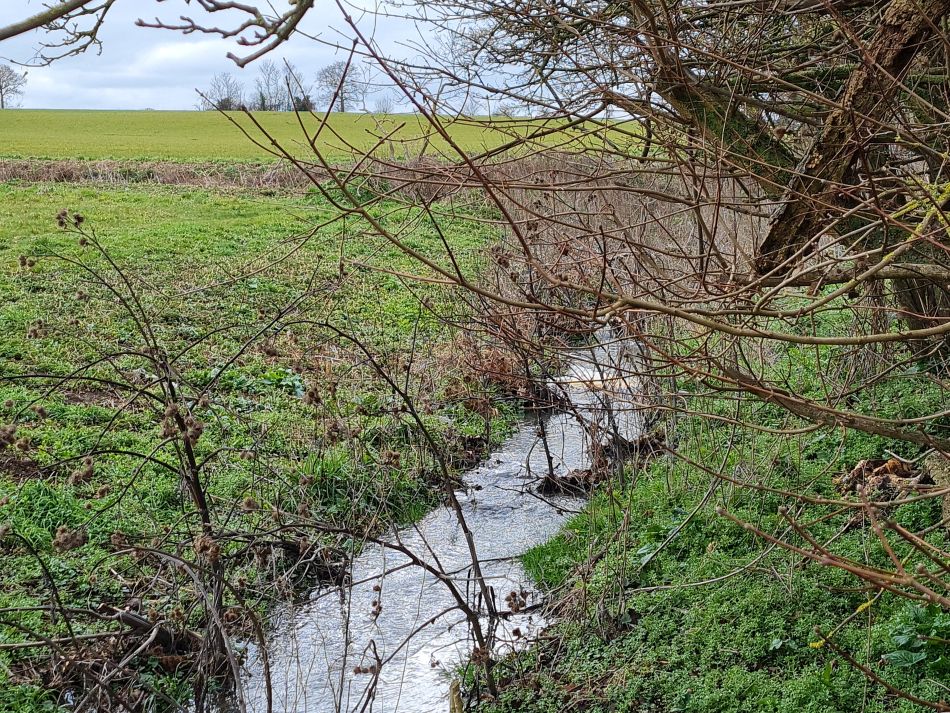 2023-03-19 15 Shipmeadow Ringsfield Saint Andrew.jpg