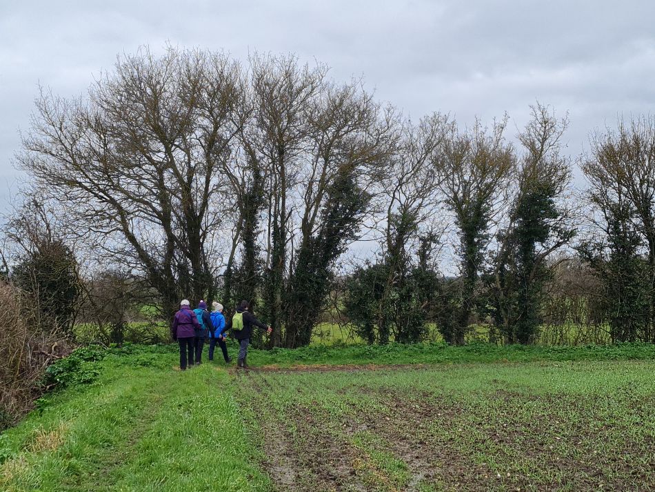 2023-03-19 17 Shipmeadow Ringsfield Saint Andrew.jpg