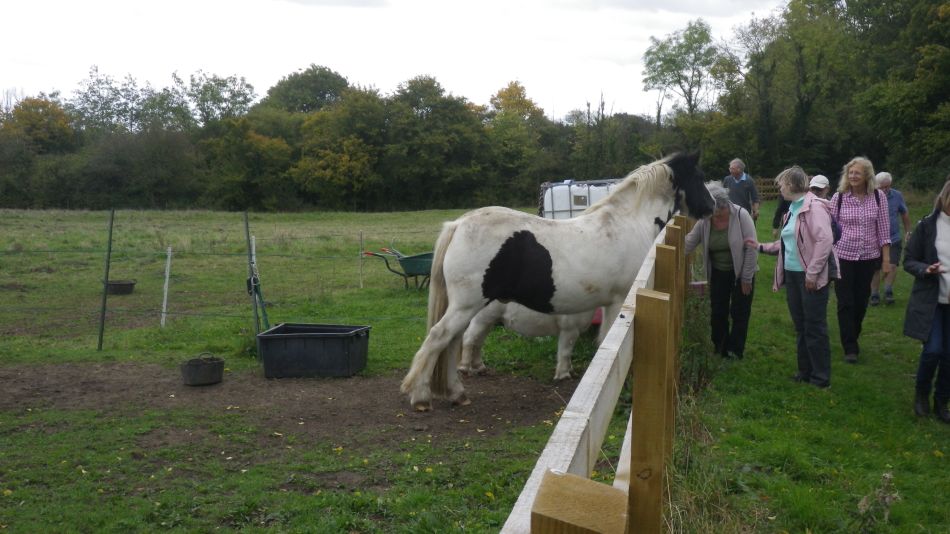 2017-10-11 06 Yoxford.jpg