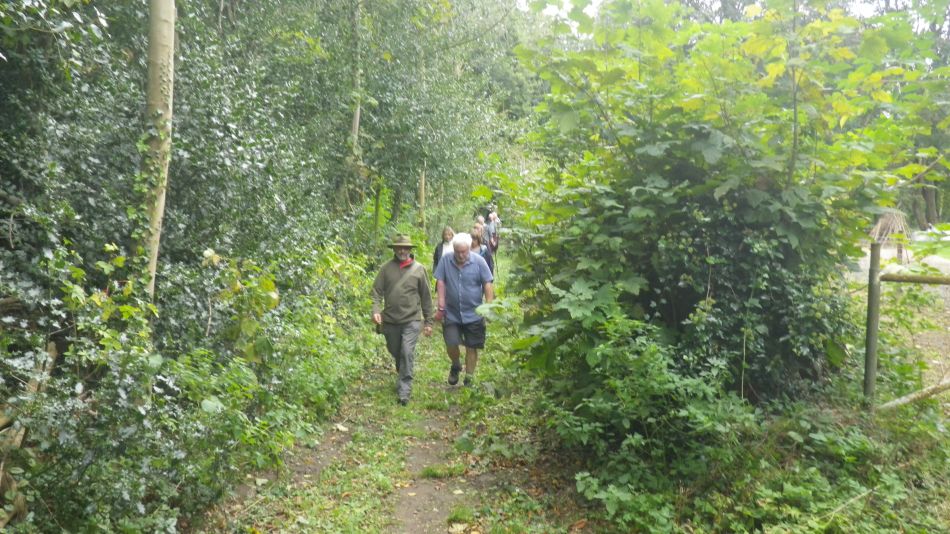 2017-10-11 07 Yoxford.jpg