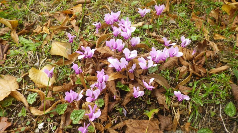 2019-10-09 03 Yoxford.jpg