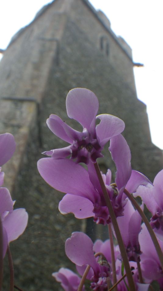 2019-10-09 05 Yoxford.jpg