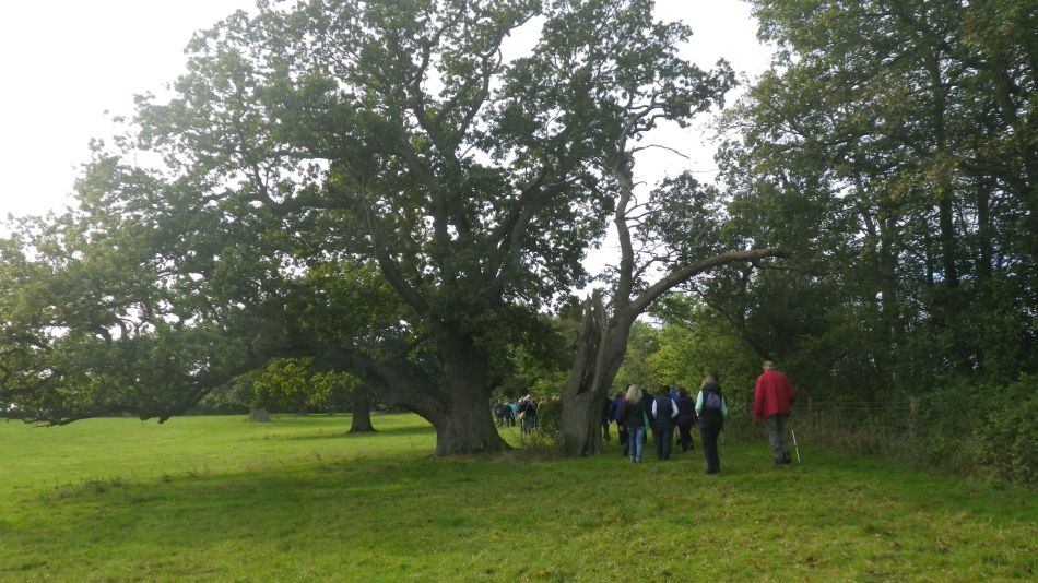 2019-10-09 06 Yoxford.jpg