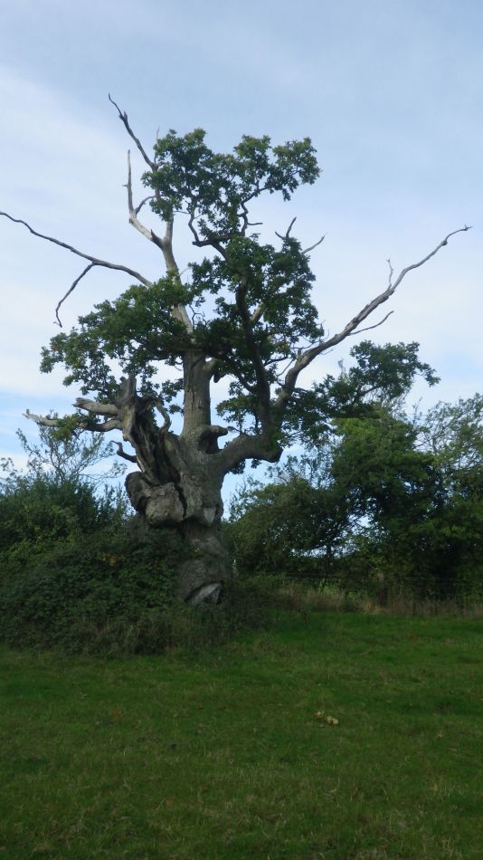 2019-10-09 07 Yoxford.jpg