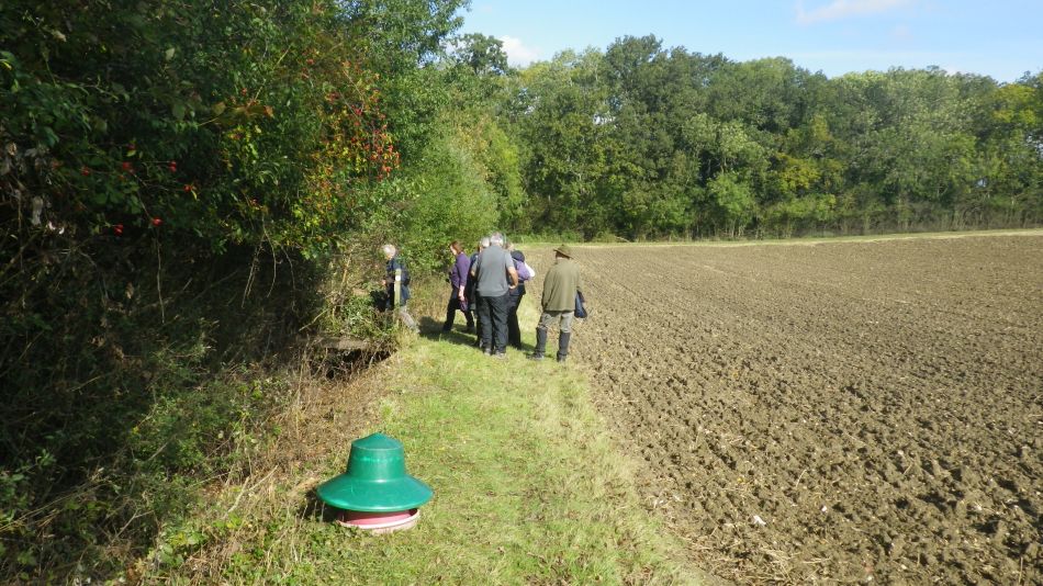 2019-10-09 09 Yoxford.jpg