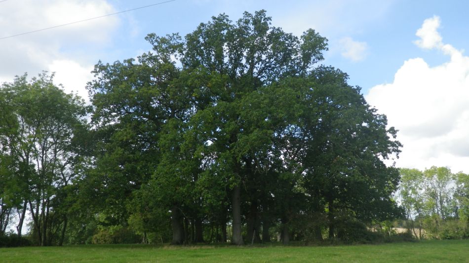 2019-10-09 16 Yoxford.jpg