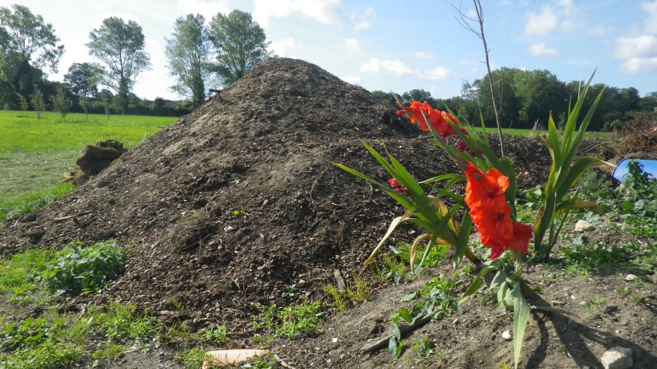 2018-09-15 01 Bergh Apton Ashby Hellington.jpg