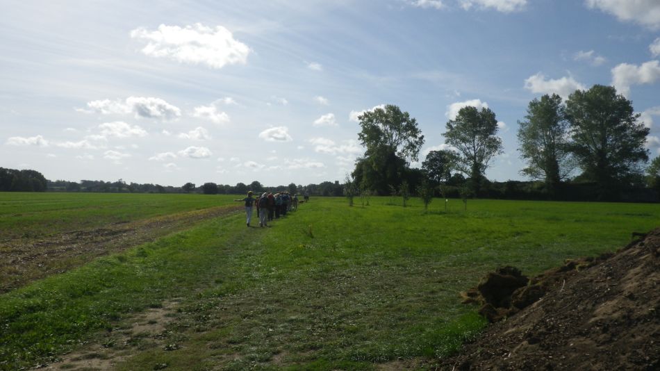 2018-09-15 02 Bergh Apton Ashby Hellington.jpg