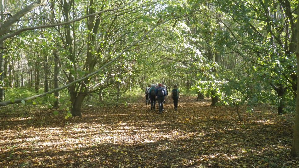 2018-10-21-05 Toft-Monks - Sausage Roll Walk.jpg