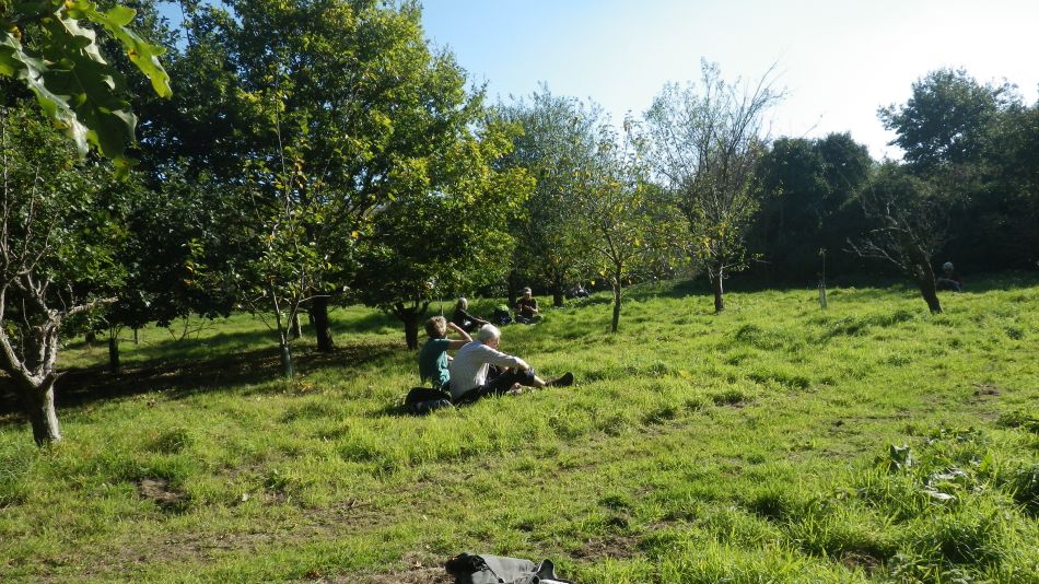 2018-10-21-06 Toft-Monks - Sausage Roll Walk.jpg