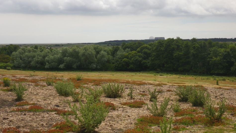 2017-06-29 03 Westleton Dunwich Eastbridge.jpg