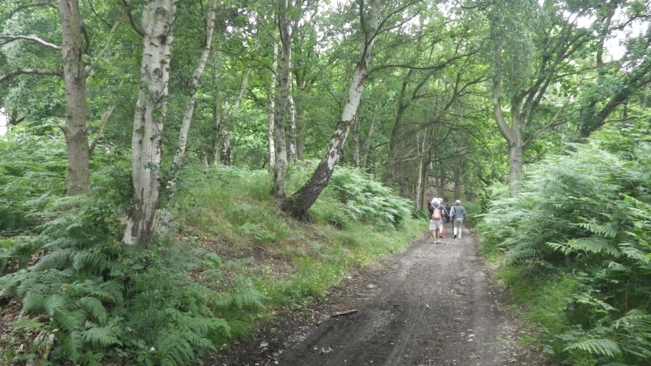 2017-06-29 10 Westleton Dunwich Eastbridge.jpg