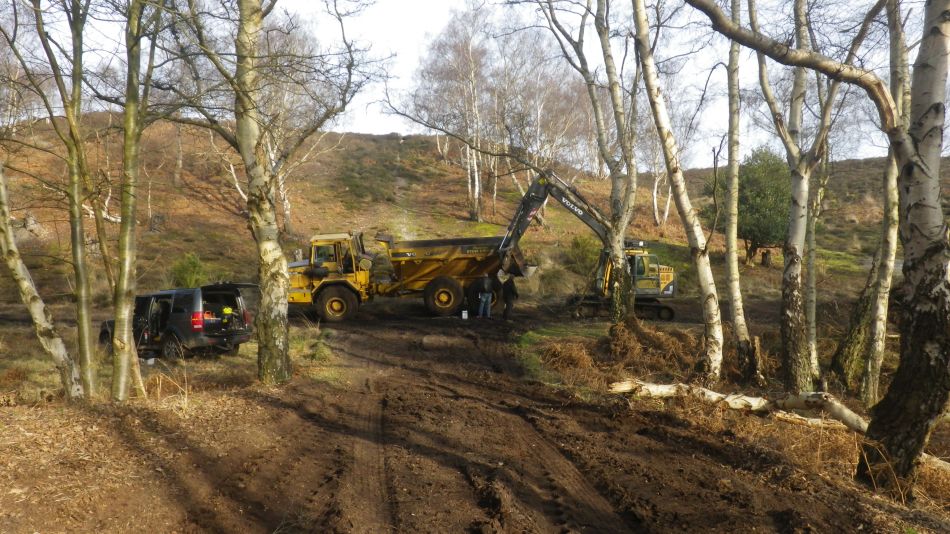 2019-02-22 06 Heath Restoration.JPG