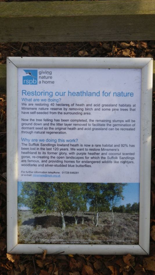 2019-02-22 07 Heath Restoration.JPG