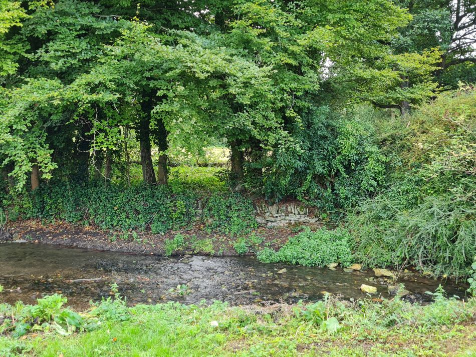 2021-09-28 04 Coln St Aldwyns and Bibury.jpg