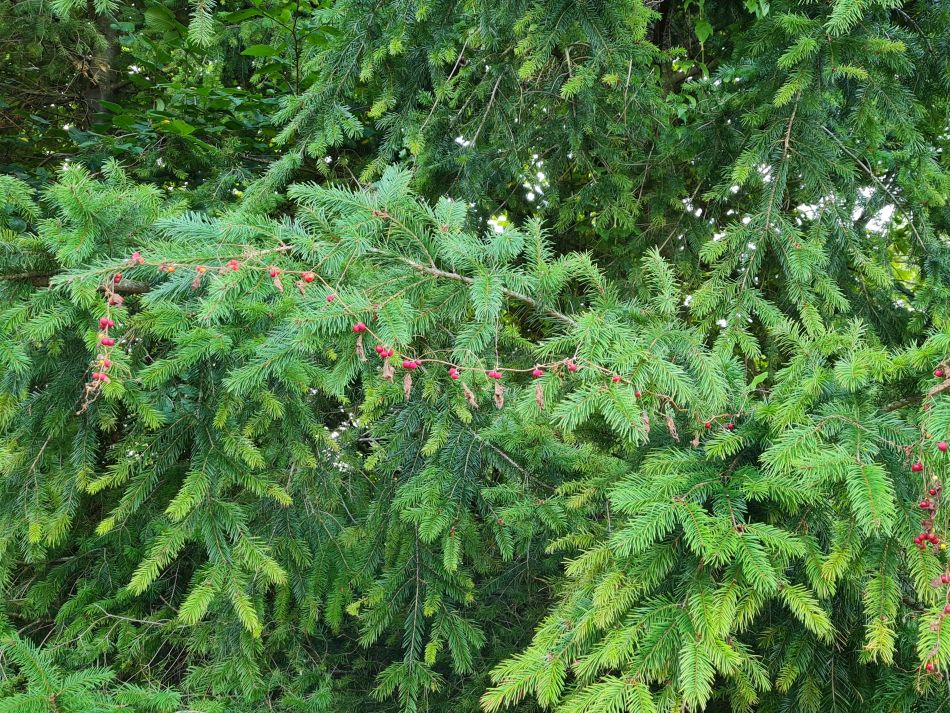 2021-09-28 09 Coln St Aldwyns and Bibury.jpg