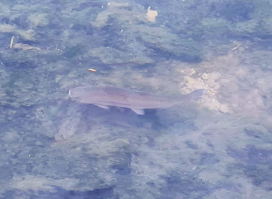 2021-09-28 25 Coln St Aldwyns and Bibury.jpg