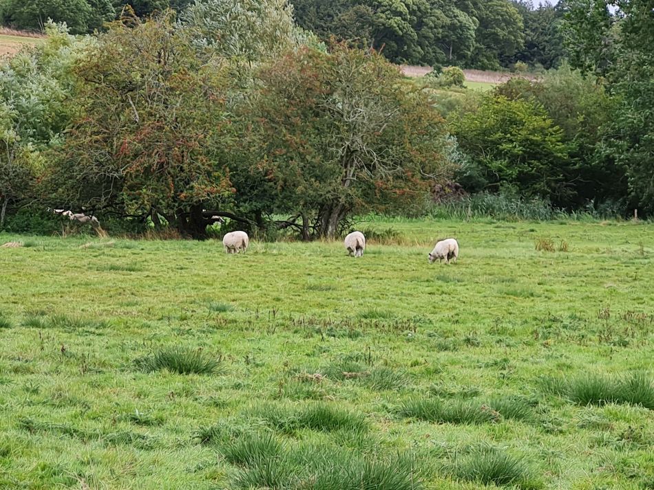 2021-09-28 38 Coln St Aldwyns and Bibury.jpg