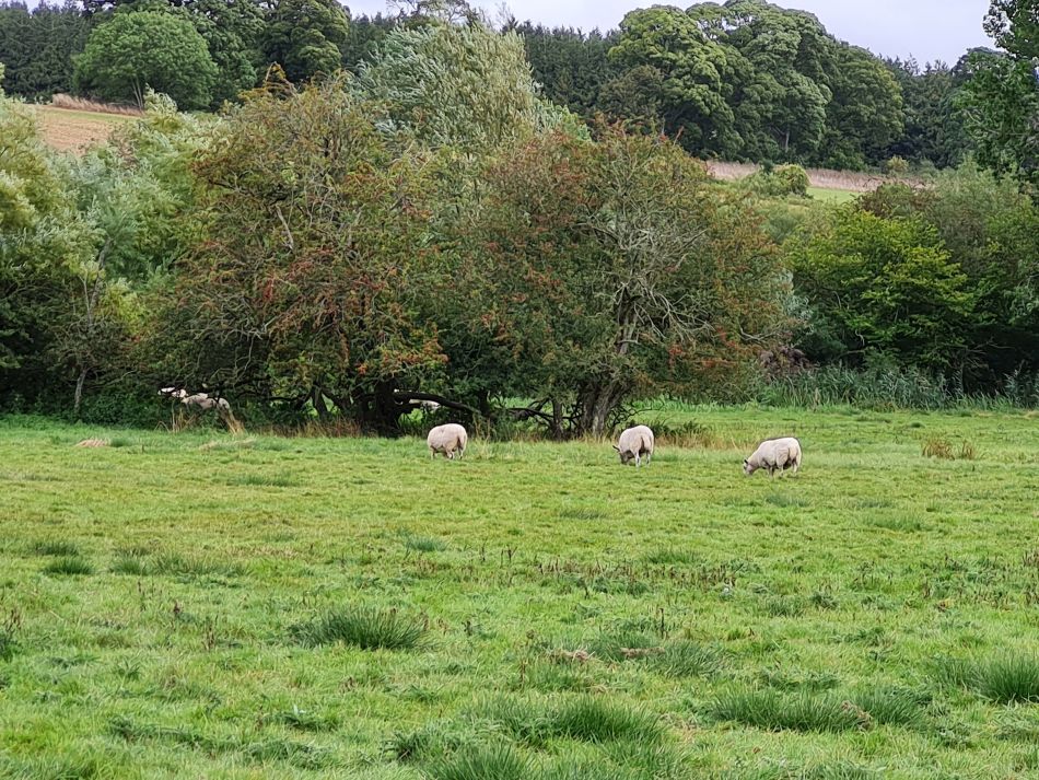 2021-09-28 39 Coln St Aldwyns and Bibury.jpg