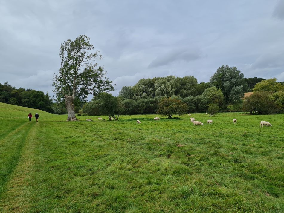 2021-09-28 40 Coln St Aldwyns and Bibury.jpg