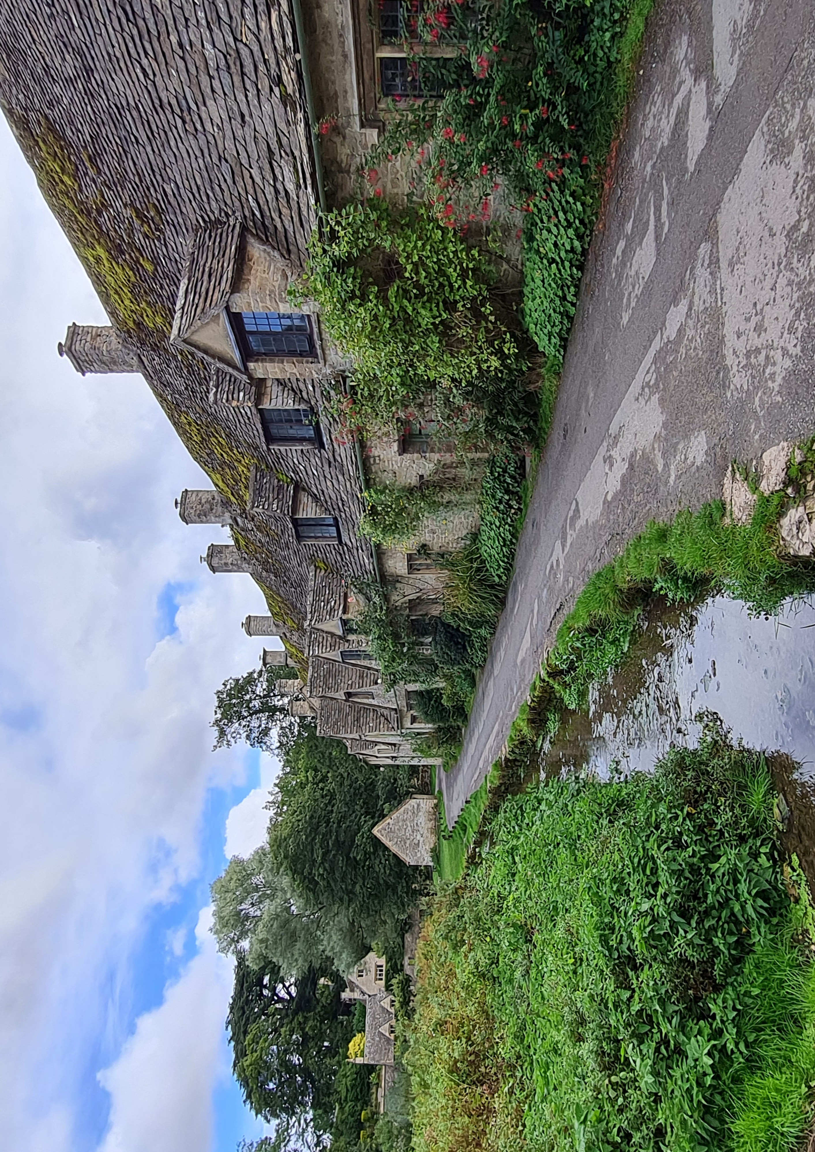 2021-09-28 98 Image.jpg