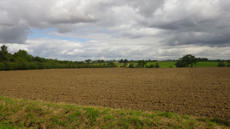 2016-08-10 03 Weybread and Harleston Area.jpg