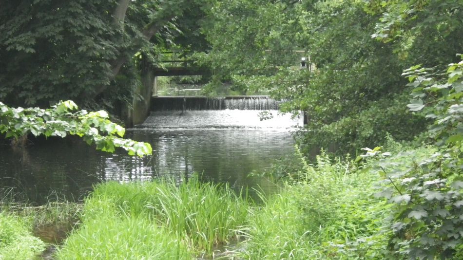 2016-08-10 08 Weybread and Harleston Area.jpg