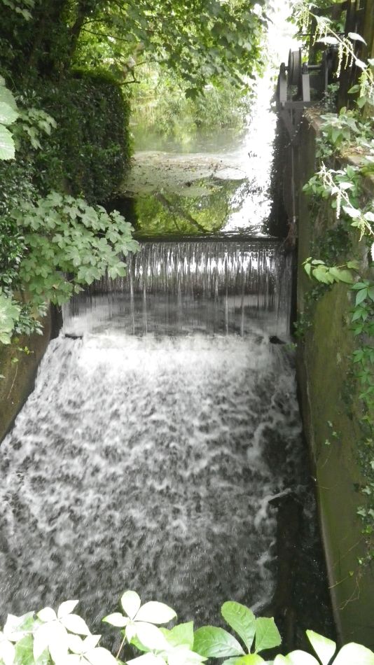 2016-08-10 11 Weybread and Harleston Area.jpg