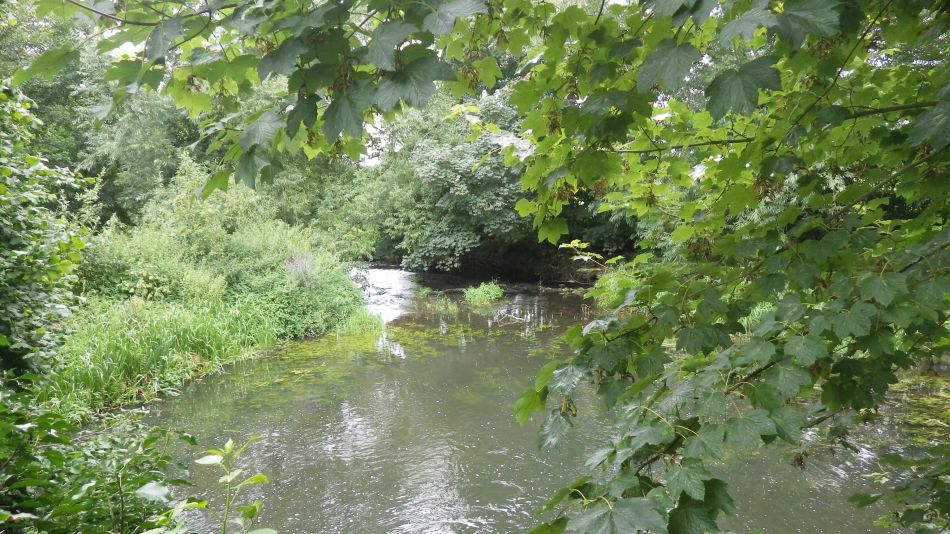 2016-08-10 12 Weybread and Harleston Area.jpg