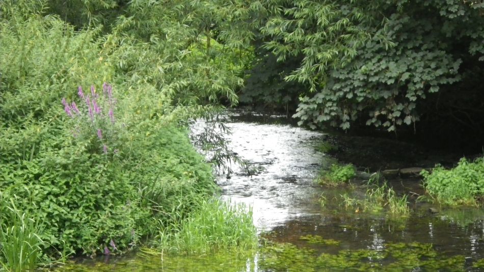 2016-08-10 13 Weybread and Harleston Area.jpg