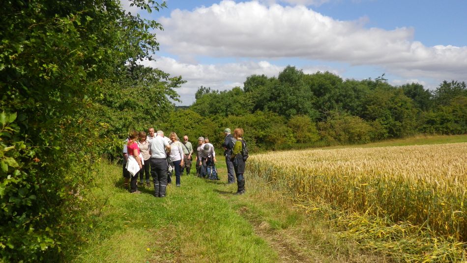 2017-07-12 03 Weybread Area.jpg