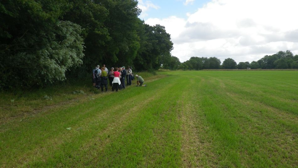 2017-07-12 05 Weybread Area.jpg