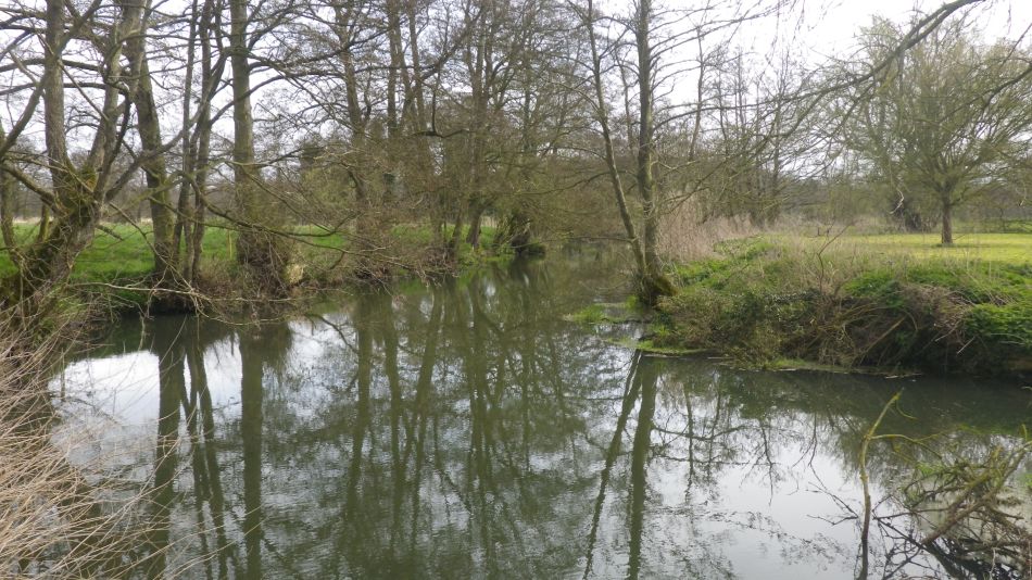 2019-04-03 09 Waveney near Needham.JPG