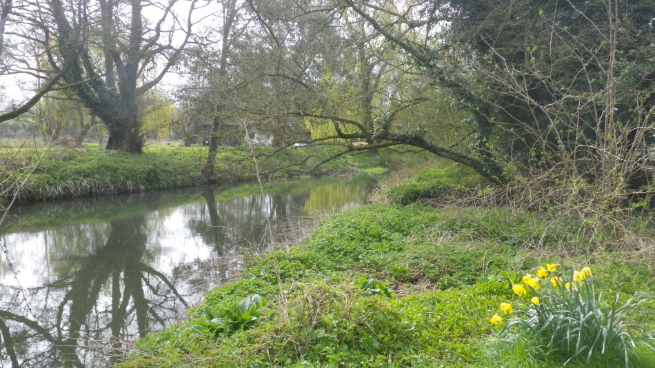 2019-04-03 10 Waveney near Needham.JPG