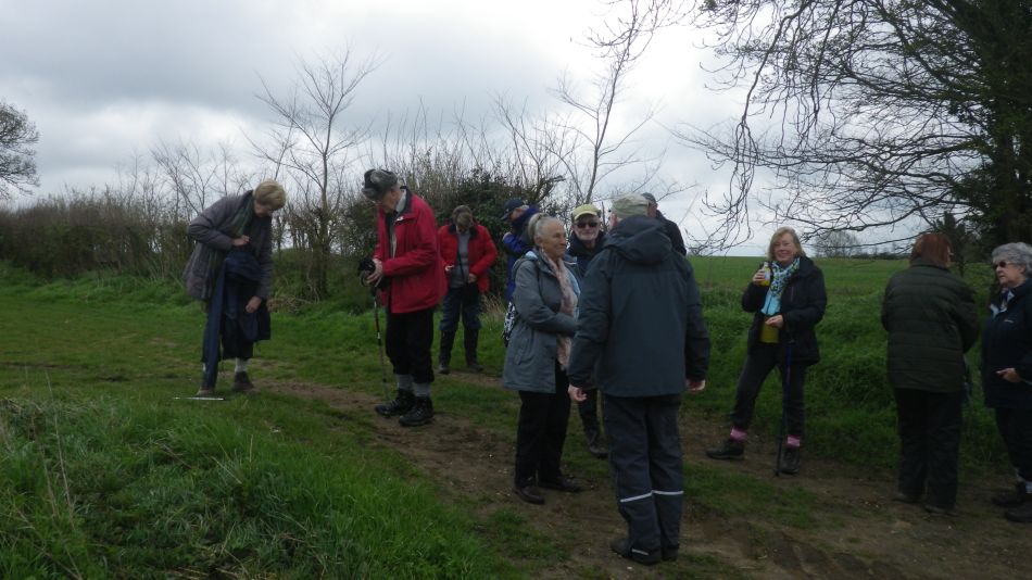 2019-04-03 11 Banana Break.JPG