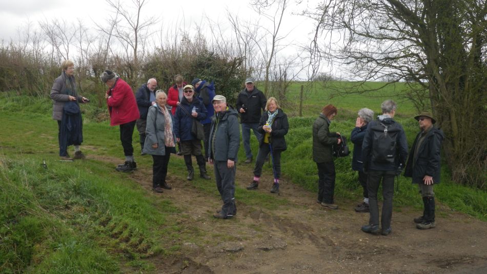 2019-04-03 12 Banana Break.JPG