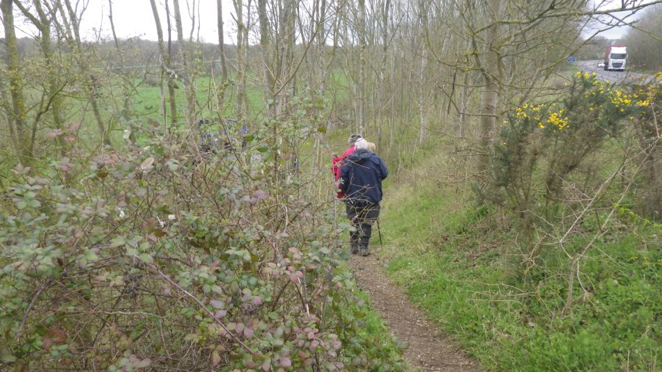 2019-04-03 16 Sloping Path.JPG