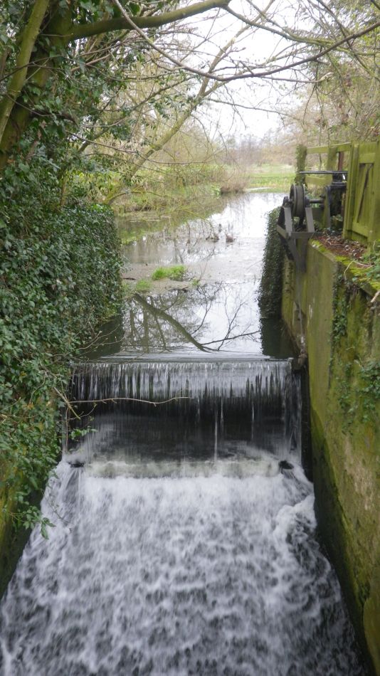 2019-04-03 19 Weybread Crossing.JPG