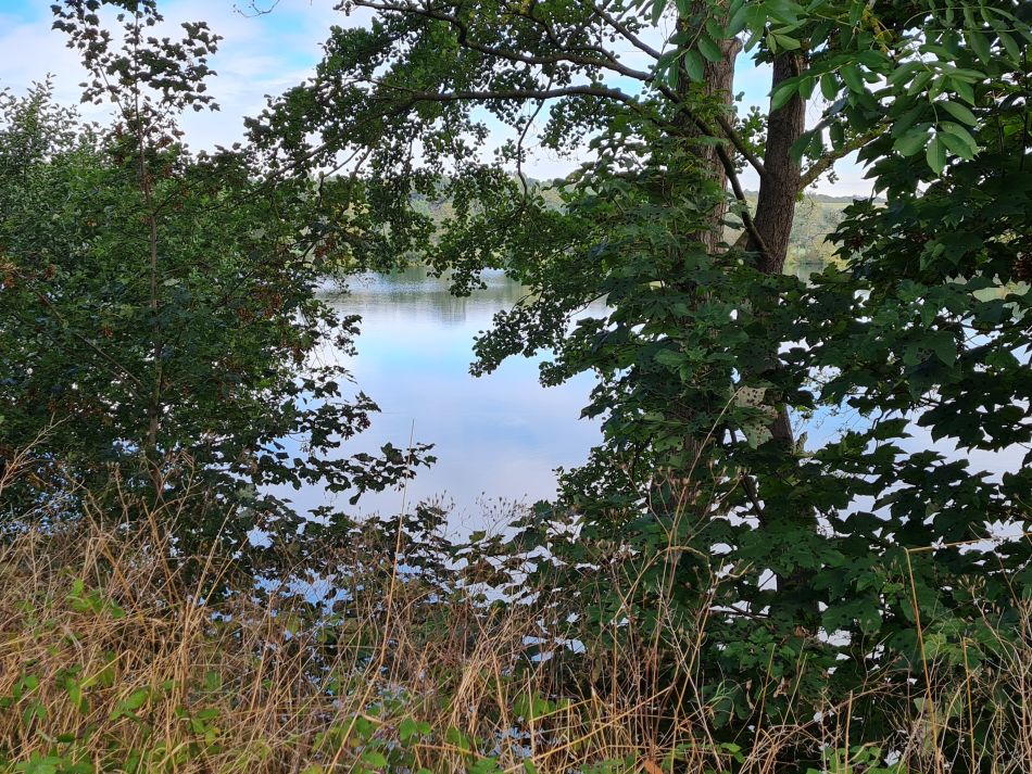 2021-10-07 01 Weybread and Harleston.jpg