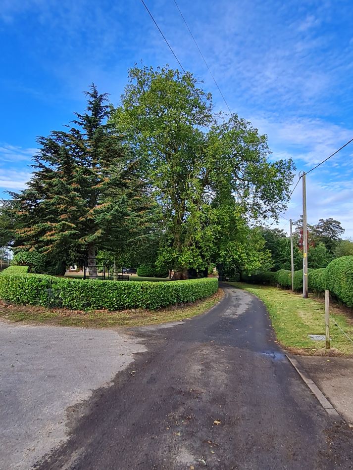 2021-10-07 02 Weybread and Harleston.jpg