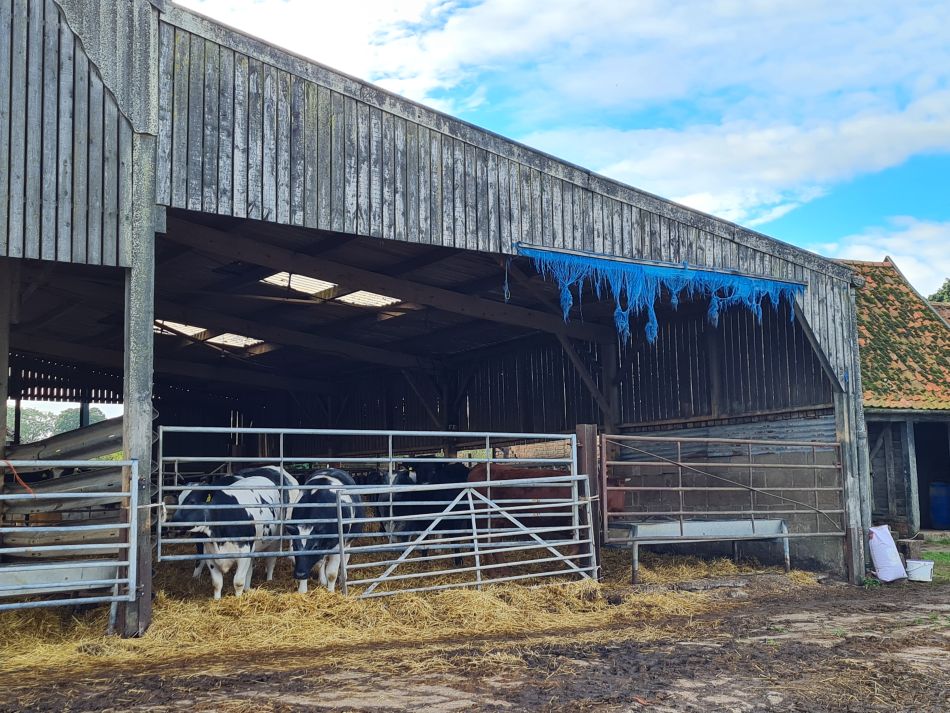 2021-10-07 03 Weybread and Harleston.jpg