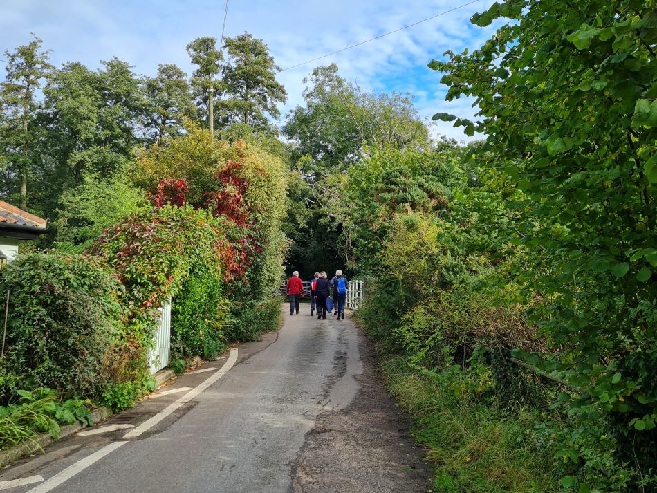 2021-10-07 05 Weybread and Harleston.jpg