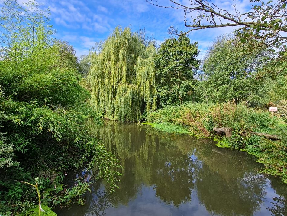 2021-10-07 08 Weybread and Harleston.jpg