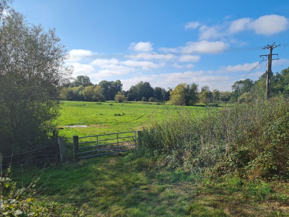 2021-10-07 14 Weybread and Harleston.jpg