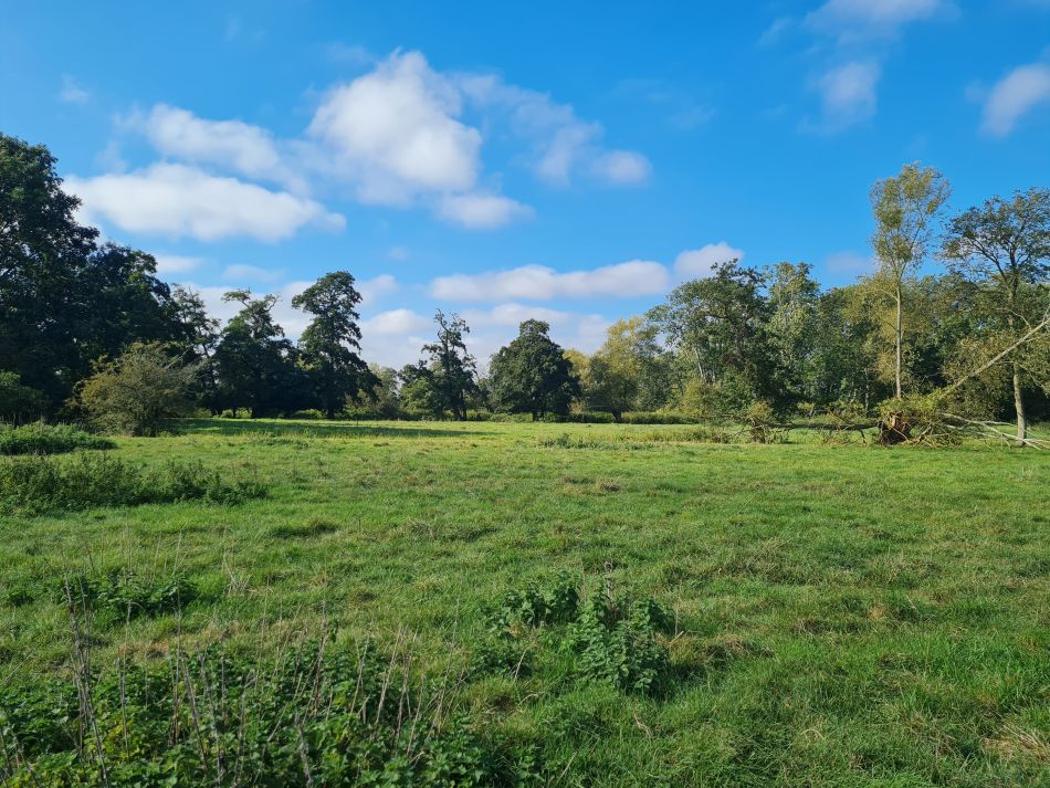 2021-10-07 15 Weybread and Harleston.jpg