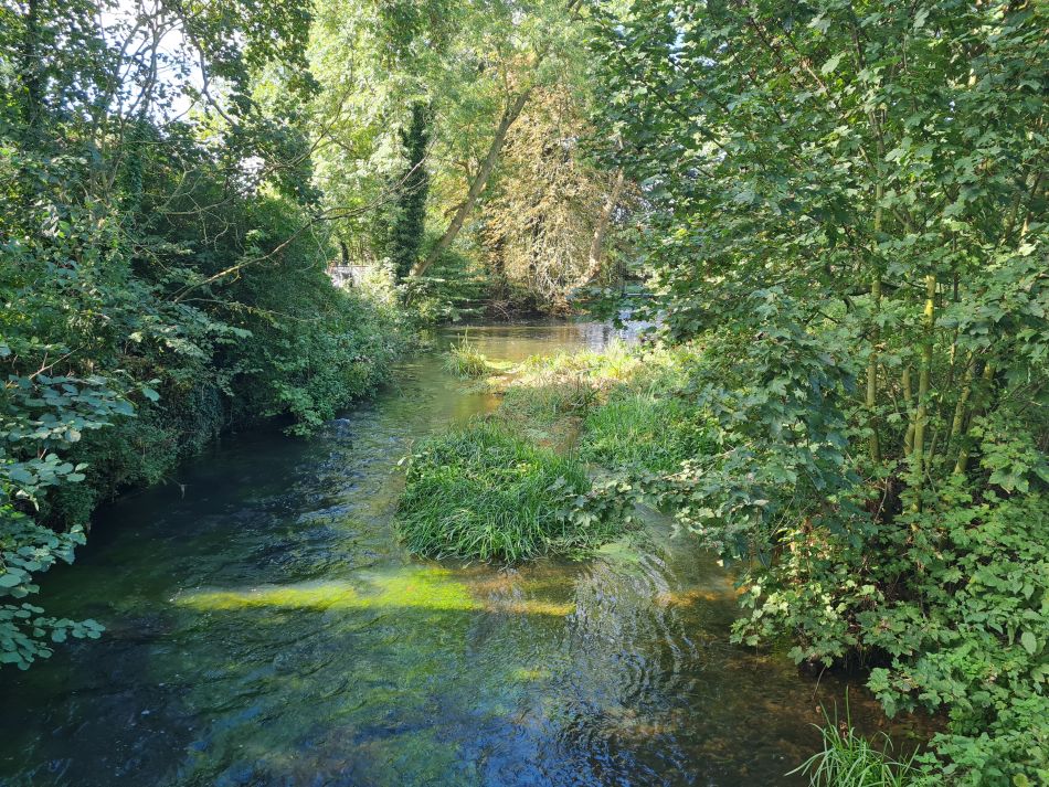 2021-10-07 18 Weybread and Harleston.jpg